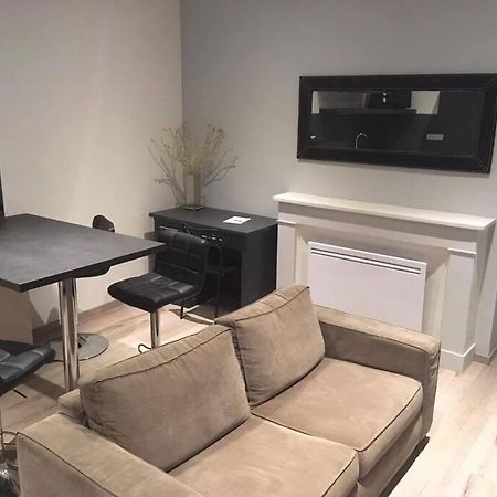 Appartement Touristique, Proche De La Cathedrale Albi Zewnętrze zdjęcie