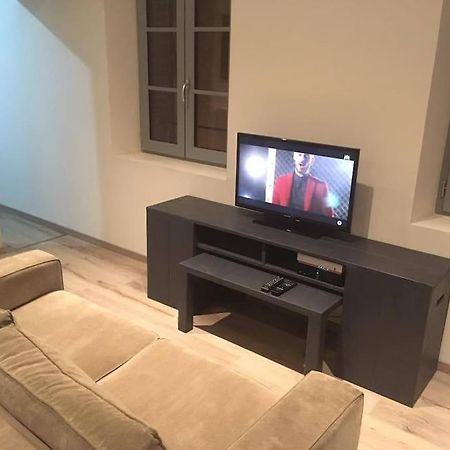 Appartement Touristique, Proche De La Cathedrale Albi Zewnętrze zdjęcie