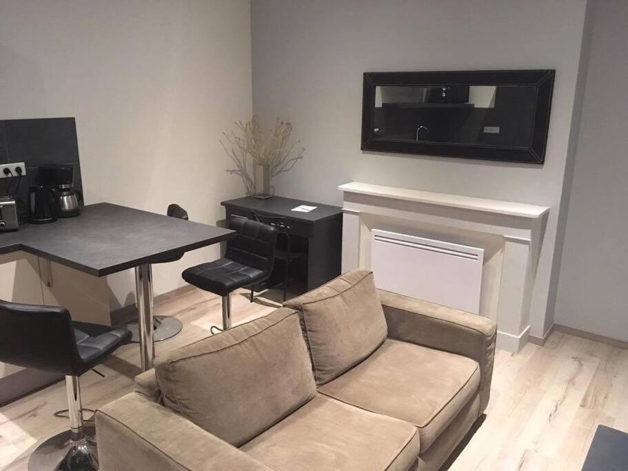 Appartement Touristique, Proche De La Cathedrale Albi Zewnętrze zdjęcie
