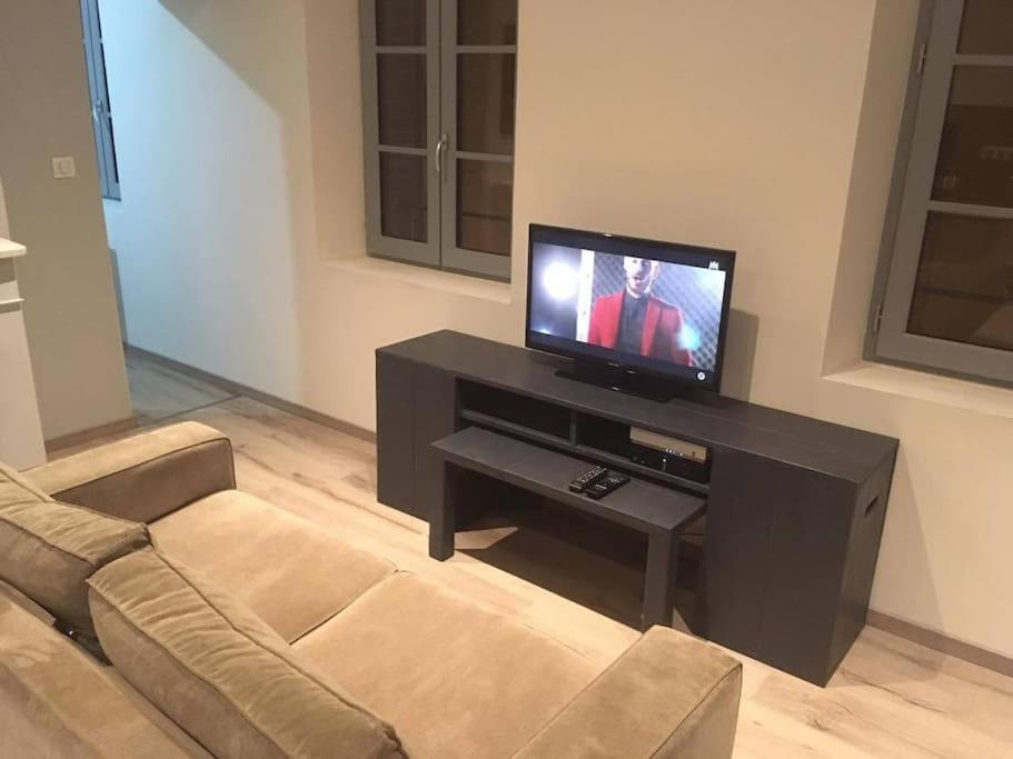 Appartement Touristique, Proche De La Cathedrale Albi Zewnętrze zdjęcie