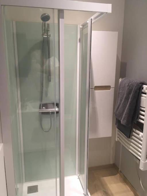 Appartement Touristique, Proche De La Cathedrale Albi Zewnętrze zdjęcie